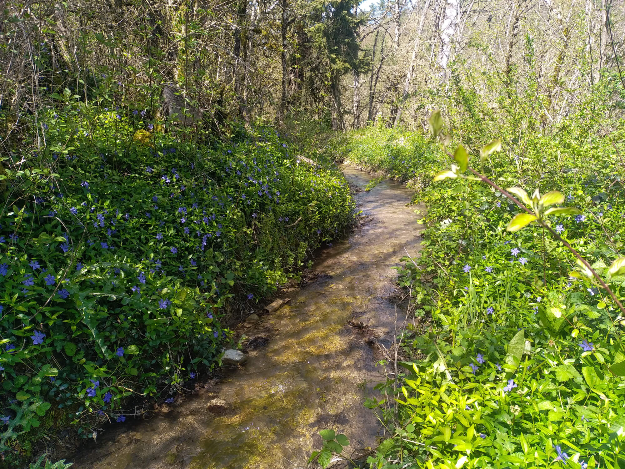 Grande salle collective au Moulin de Recours